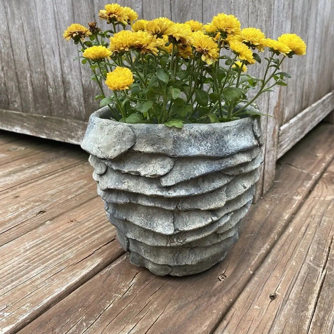 Cement Palm Leaf Planter Grey Washed Indoor Outdoor Plant Pot